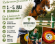 Großes Sommerturnier vom 03. bis 05. Juli 2026